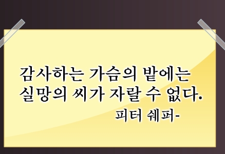 감사