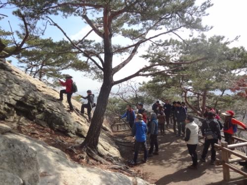 광교산의 형제봉. 사람들이 가장 많이 찾는 곳이다. 아직은 봄을 찾기가 쉽지 않다.