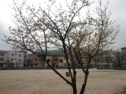 학교 체육관을 배경으로 또 한 컷.