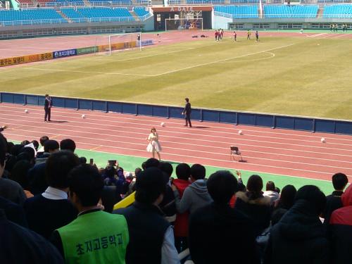 홍보대사 가수 나비의 축하 공연