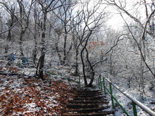 아침 일찍 오른 등산객은 오늘 광교산 상고대의 모습을 기록으로 남겼다.