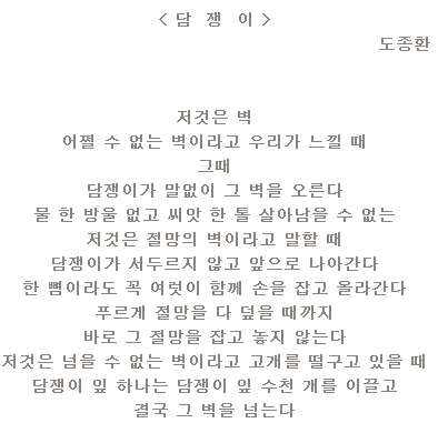담쟁이 시