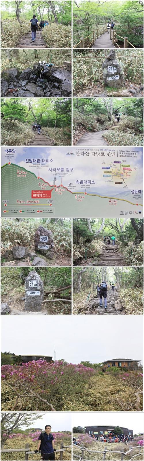 ▲ 사라오름 입구를 거쳐 진달래밭대피소까지