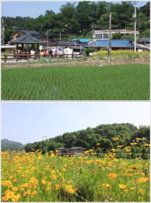 ▲ 주왕이 마을 풍경