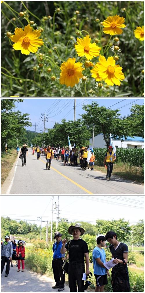 ▲ 그늘에서 역사도 배우고