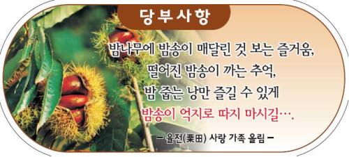 우리 학교 밤나무에 붙일 당부사항 문구