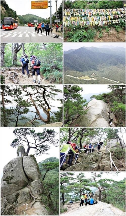 ▲ 배후령에서 청솔바위까지