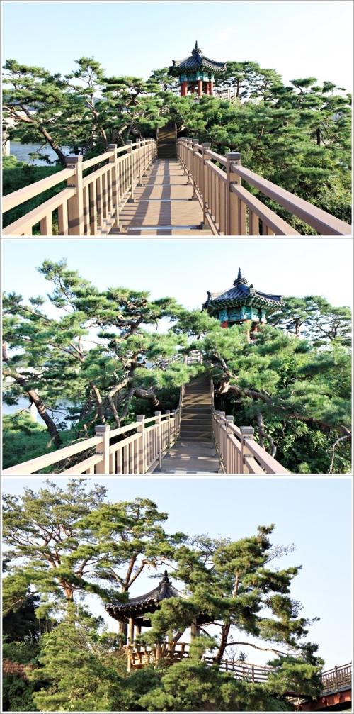 ▲ 강선대에서 바라본 풍경