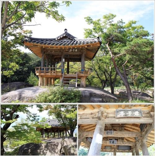 ▲ 군자정