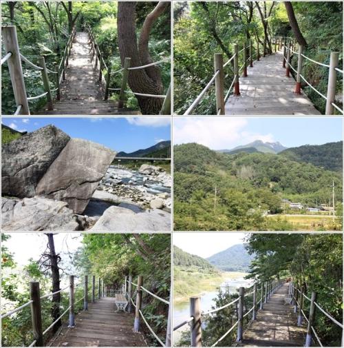 ▲ 산책로 풍경