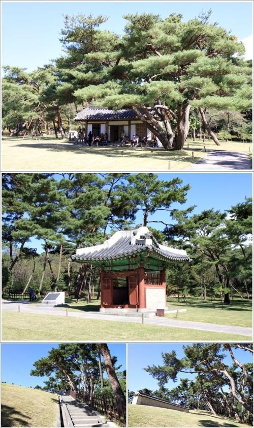 ▲ 정자각에서 영릉으로