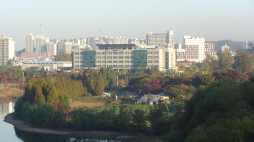 우리 아파트에서 보이는 성균관대 자연과학대학 캠퍼스 전경. 제대한 아들이 내년 3월에 복학을 한다. 아침마다 캠퍼스를 보면서 자식교육을 생각한다.