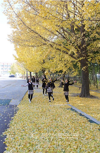 은행잎을 흩날리는 소녀들!