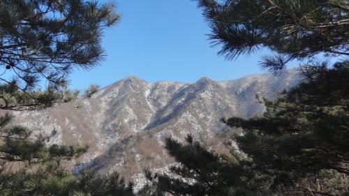 체력이 소진되어 더 이상 오를 수 없다. 국망산 상고대는 직접 보지 못하고 산 정상을 카메라로 담는다.