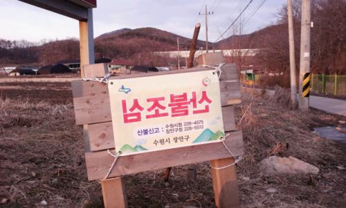 수원시에서 내건 산불조심 현수막. 붉은 글씨 '산불조심' 글씨가 이상하다. 현수막 공장 직원의 실수일까, 담당 공무원의 창의성일까?