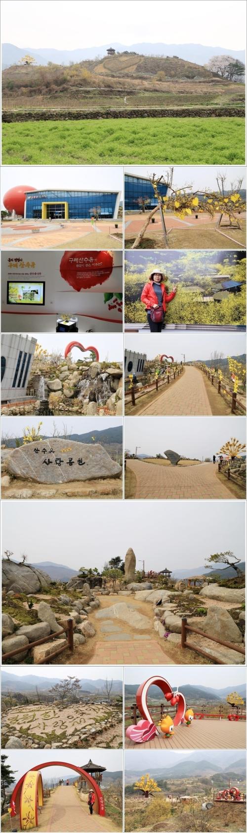 ▲ 산수유문화관과 산수유사랑공원