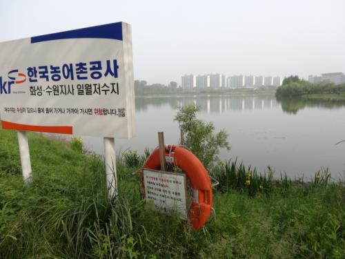 일월호수 입구에는 기존의 구명환이 비상시에 쓰도록 준비되어 있다.