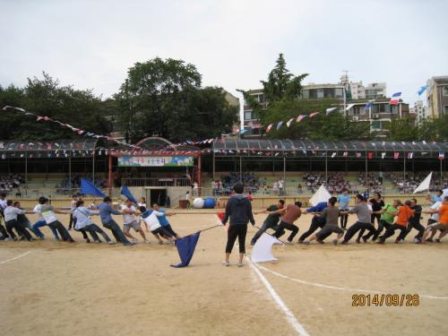 학부모 단체 경기 줄다리기 장면
