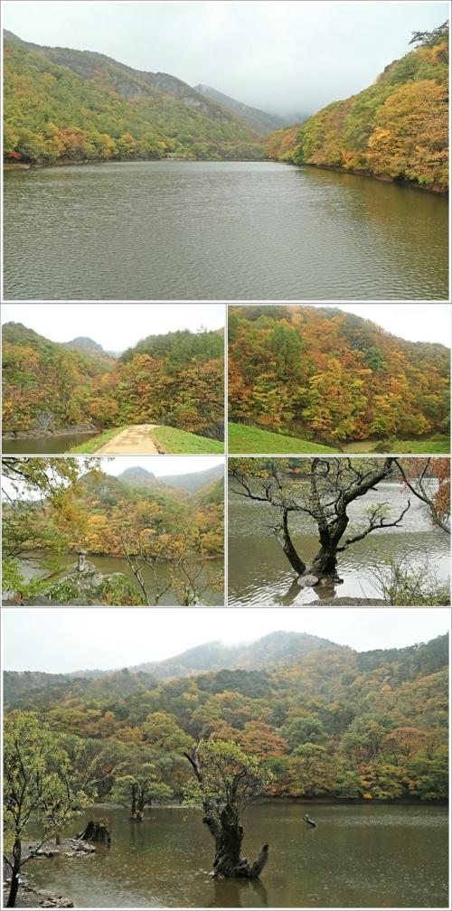 ▲ 주산지