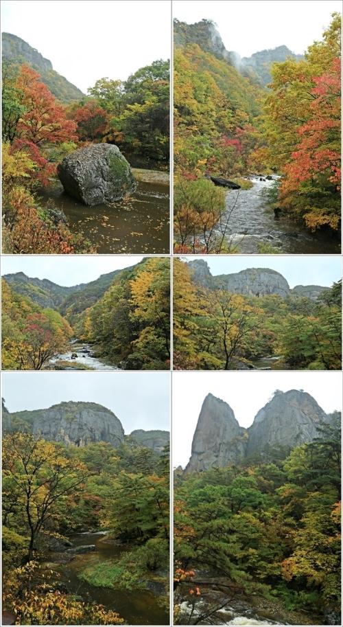 ▲ 아들바위 지나 학소대로