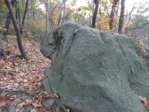 웃는 모습의 아기공룡 바위