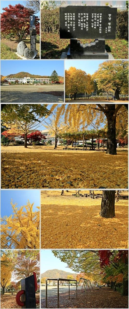 ▲ 백봉초등학교