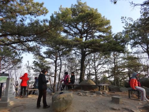 239m의 칠보산 정상. 고도가 낮고 산이 부드러워 가족단위 산행이 많다.