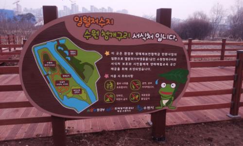 일월저수지 에 마련된 수원청개구리 서식처 안내판.