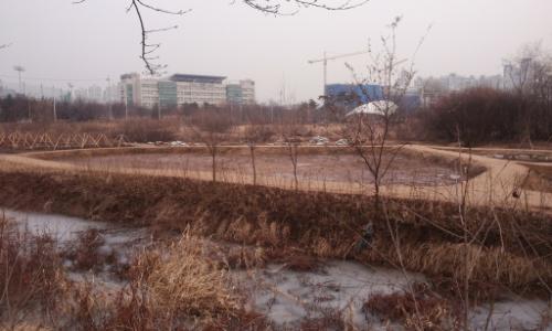 청개구리가 좋아하는 습지도 만들어 놓고 동절기 서식지도 만들어 놓았다. 저 멀리 성균관대학교 캠퍼스도 보인다.