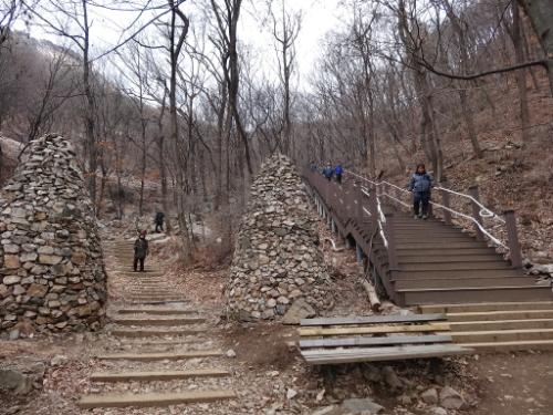 새로운 등산로를 만들면서도 야생화 보호를 생각해야 한다. 새로 생긴 오른쪽 계단이 야생화 군락지이다.