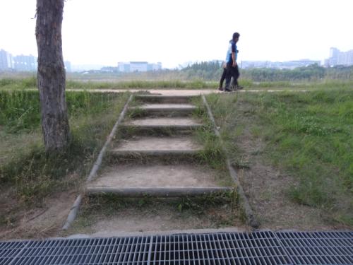 차라리 이 지름길에 나무 계단을 설치하는 것이 좋겠다. 우선 사람들의 안전을 위해서다.