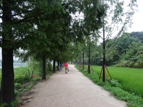 일월공원의 1.9km 황토길은 걷기에 부담을 주지 않아 인근 주민들까지 이 곳을 찾고 있다.