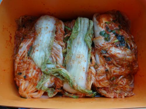 드디어 완성된 포기김치가 김치통에 담겨졌다.