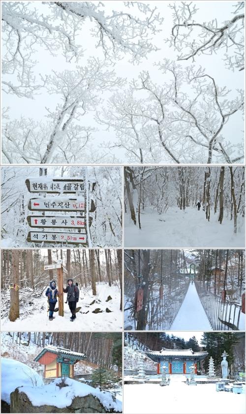 ▲ 황룡사까지