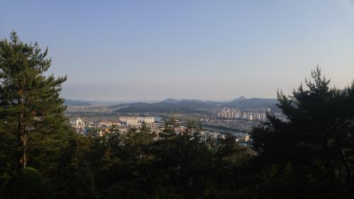 멀리 순천만이 보인다