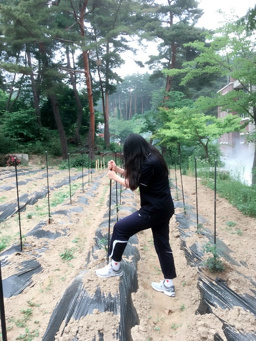 밭고랑을 힘차게 다져요