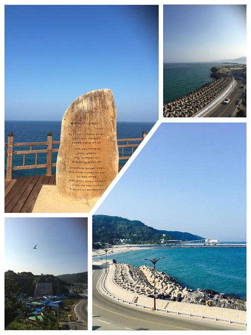 등대에서 바라본 후포리 해안로와 동해바다