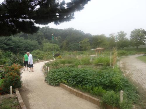 나의 작은 텃밭이 있는 일월공원 모습. 이 곳에서 도시농부의 꿈이 영글고 있다.