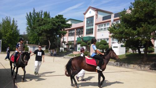 <5학년 승마체험>