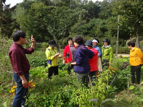 시민들은 공원텃밭에서 농작물의 자람을 보면서 힐링의 시간이 된다.