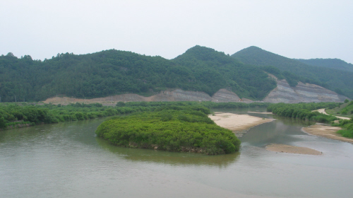 황강변의 버들숲