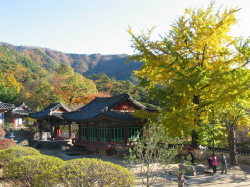 대원사.