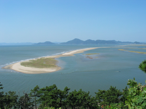 을숙도의 전경.