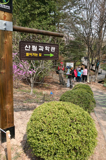 산림과학관으로 가는 길.