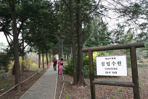 제2수목원 침엽수원 가는 길.