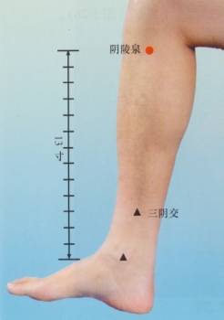 음릉천●종일 서서 일하는 선생님들에게 좋음●기혈을 통하게 해 발의 부종에 효과 ●하루에 3~5분 정도 엄지손가락으로 자극