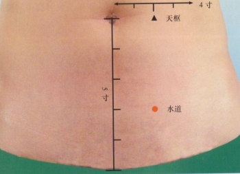 수도 ● 소변 등 수액대사와 관련된 병증을 치료● 젊은 여성들의 월경통 완화에 좋음 ● 따뜻한 물주머니를 놓아둬도 효과